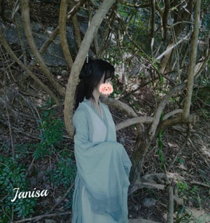 新白娘子传奇 电视剧